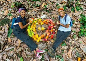 Người dân Grenada trồng cacao và gia vị để xuất khẩu.