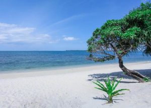 Bãi biển Trikora nước xanh trong, cát trắng mịn màng.Bãi biển Trikora nước xanh trong, cát trắng mịn màng.