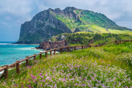 Đảo Jeju Hàn Quốc