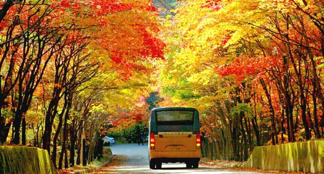 Jeju – Du lịch mùa nào đẹp nhất trong năm?