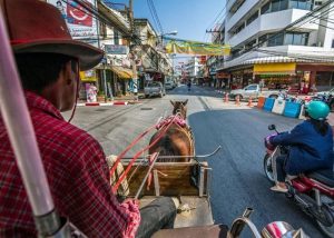 Ngồi xe ngựa dạo phố Lampang.