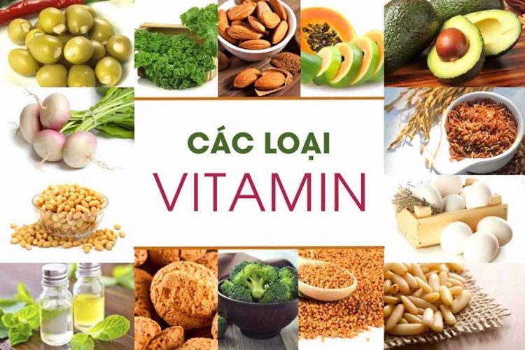 Vitamin đối với người cao tuổi